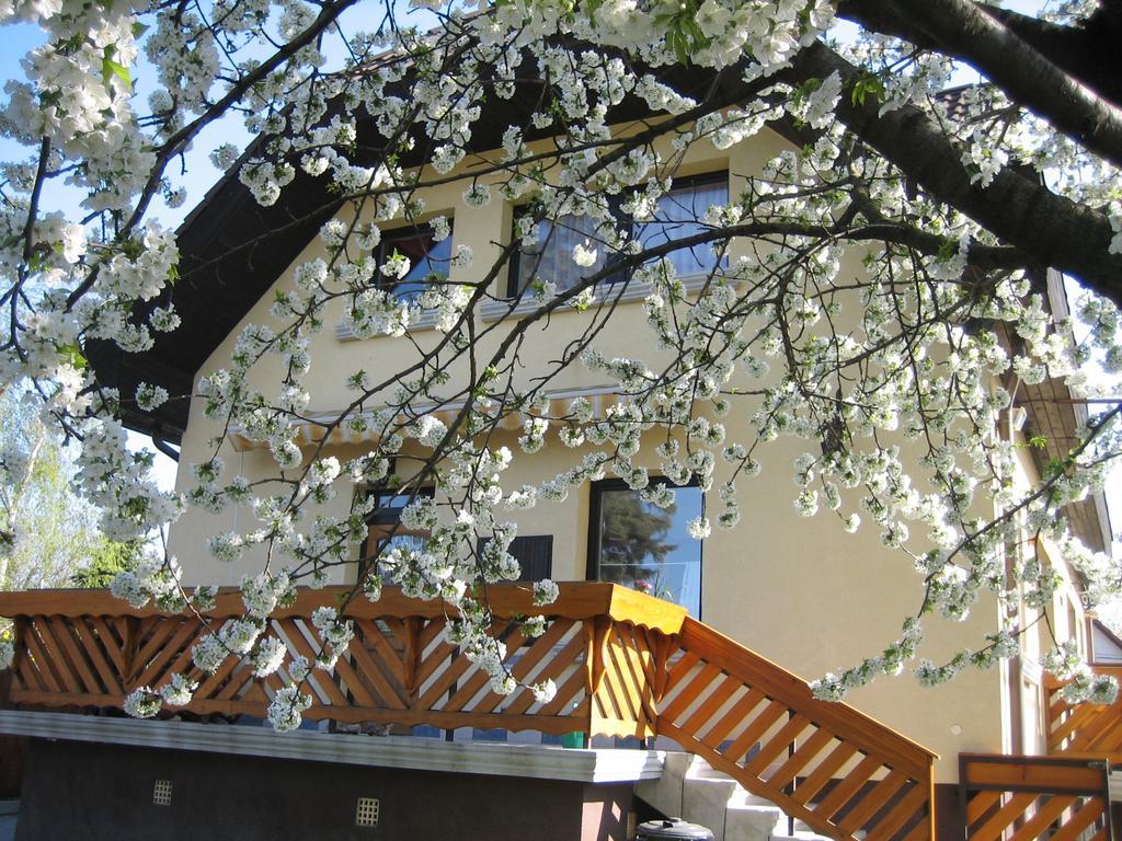 St. Michael Apartman Budapest Extérieur photo